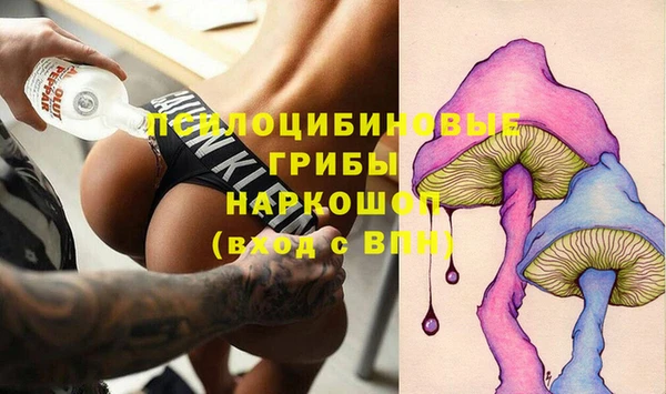 а пвп мука Бородино