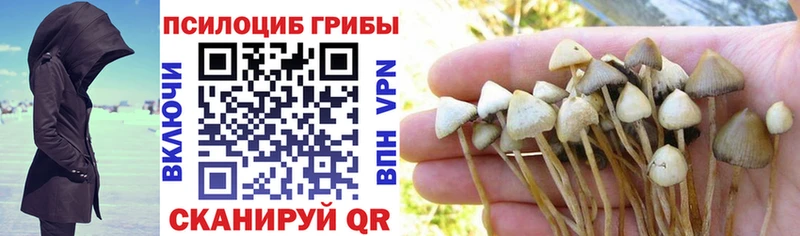 Псилоцибиновые грибы ЛСД  omg ТОР  Семёнов 